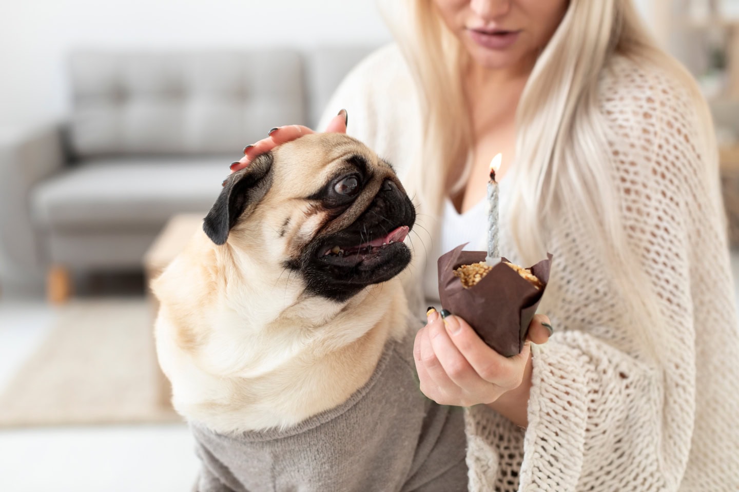 Cioccolato cane - pericoli e prevenzione