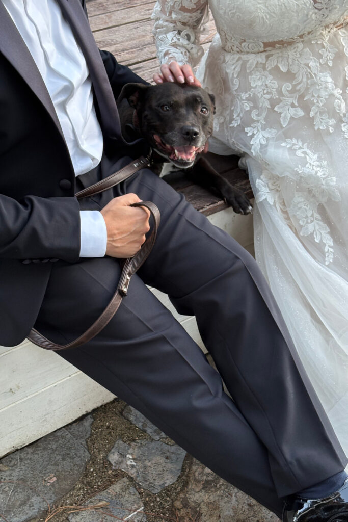 Cane durante shooting con gli sposi al loro matrimonio