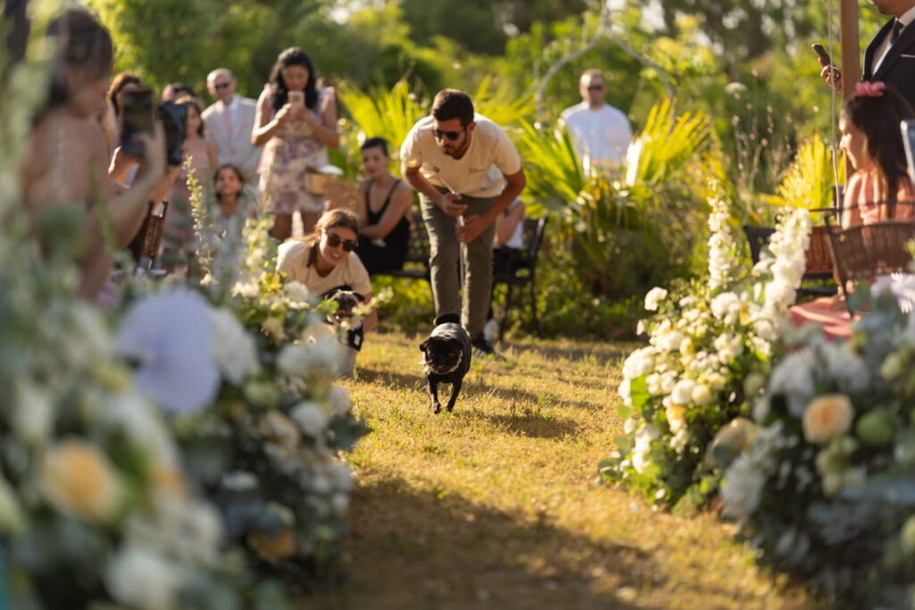 Cane Carlino porta le fedi all'altare durante servizio Matrimonio Dog Sitter