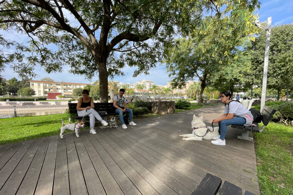 Pausa durante lezione di educazione e addstramento cani a Cagliari