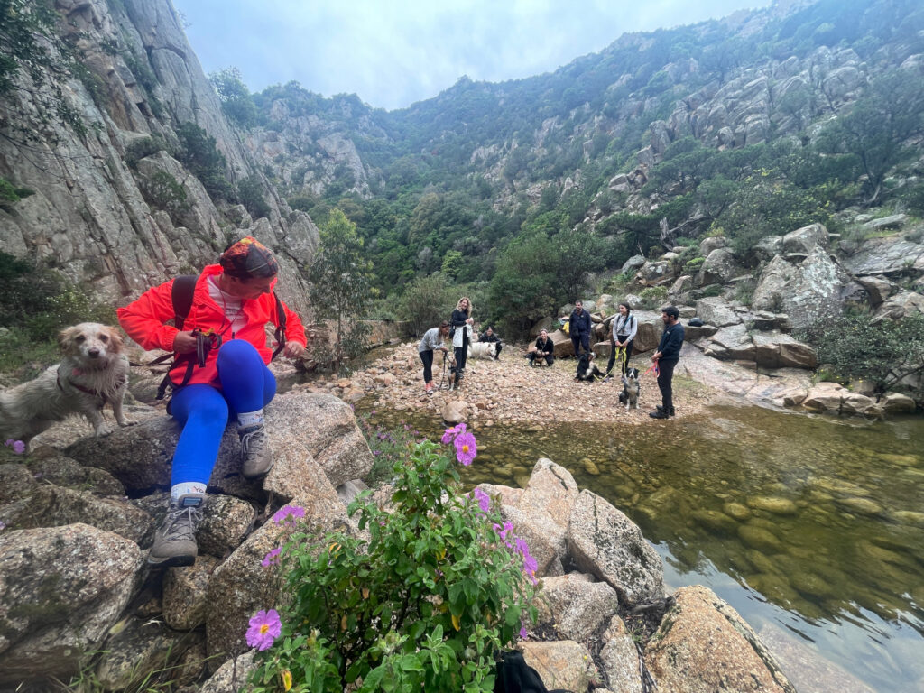 Pausa in mezzo alla natura per i cani e i loro proprietari