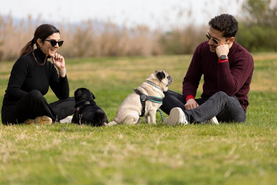 Fotografia di cani insieme ai loro proprietari felici su un prato per un servizio fotografico per cani a Cagliari