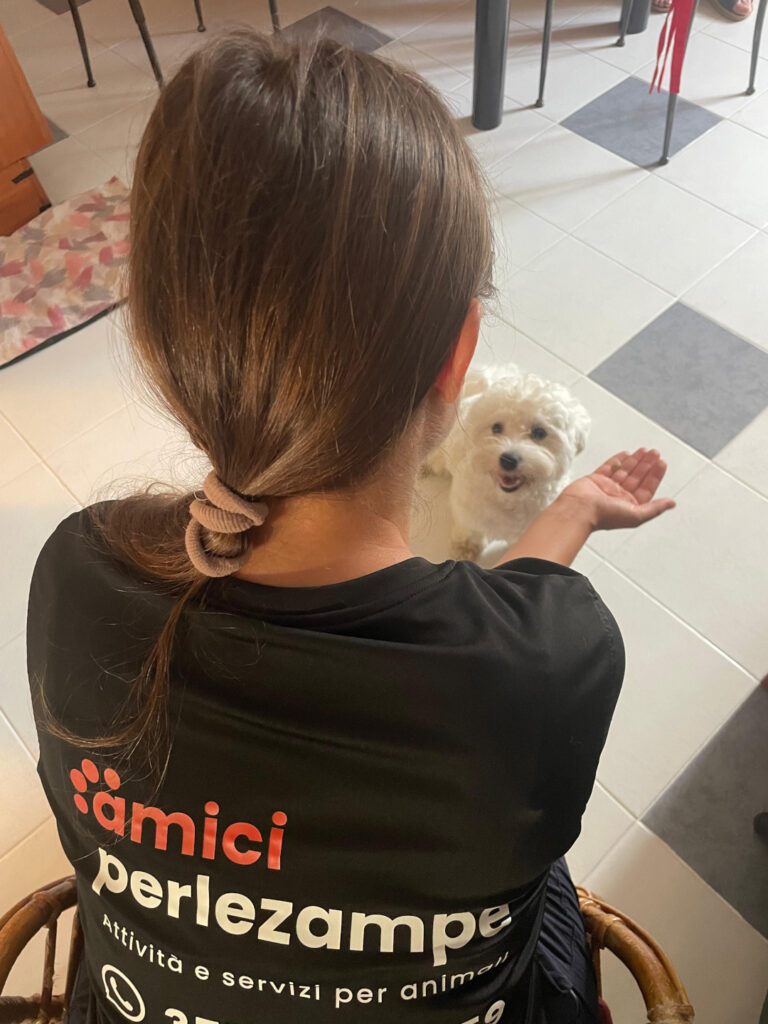 Il team di amiciperlezampe durante un’attività con cani e proprietari